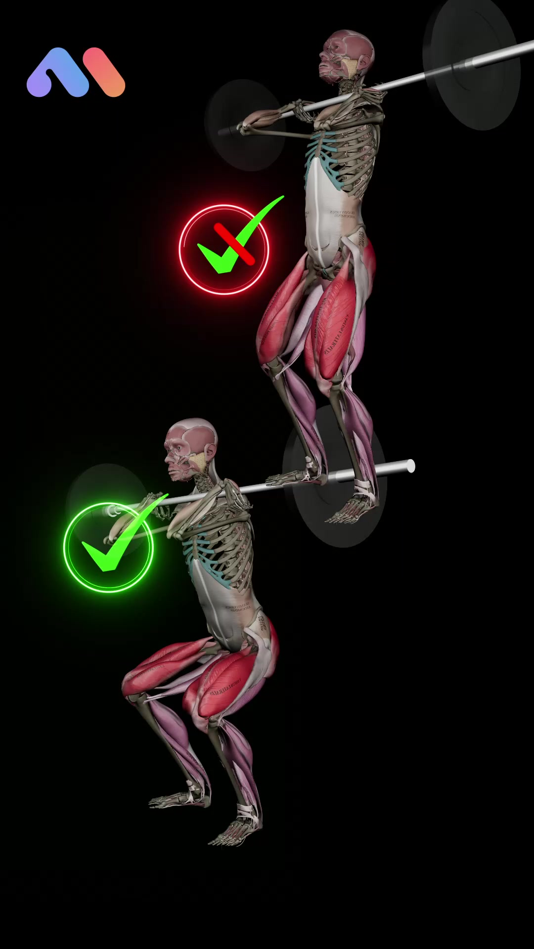 @Muscle & Motion