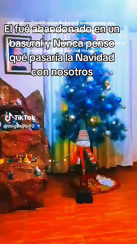 @greyseragustingam