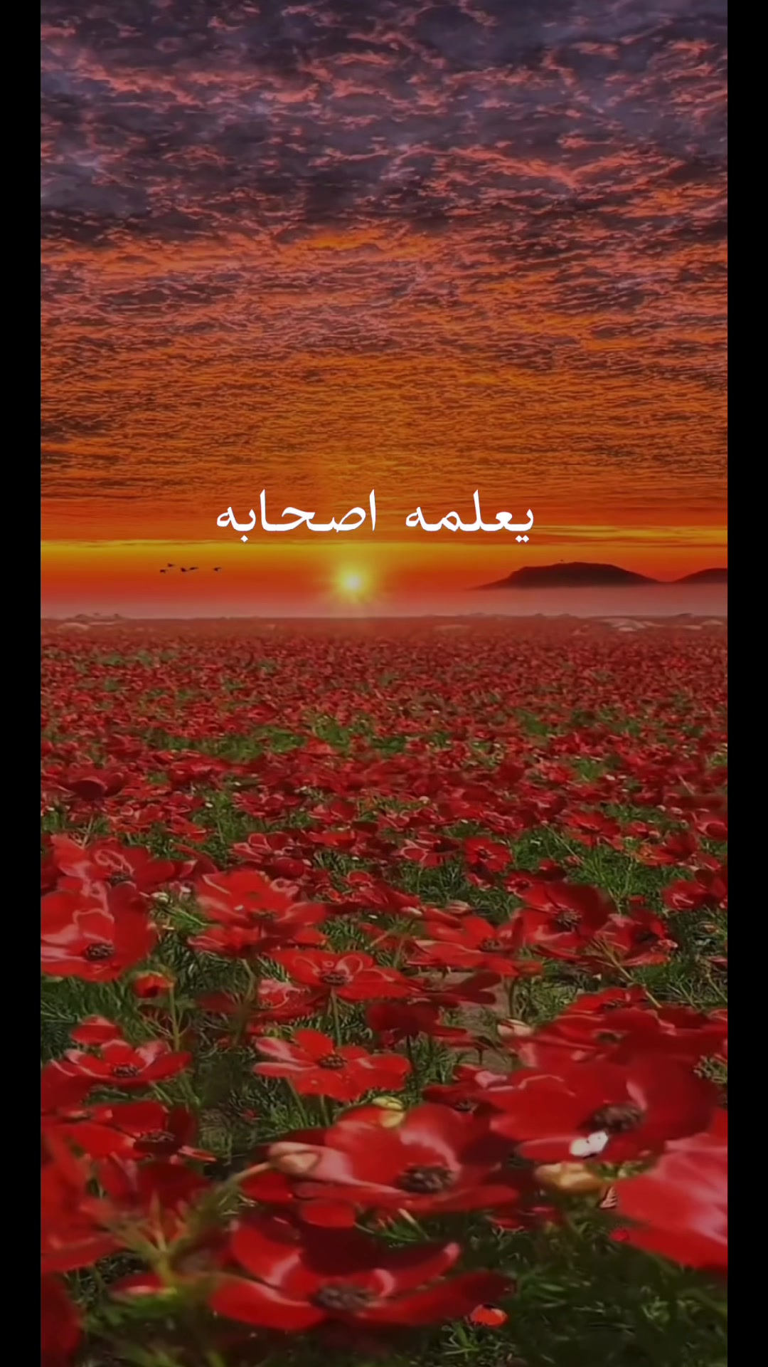 @Om MARAM