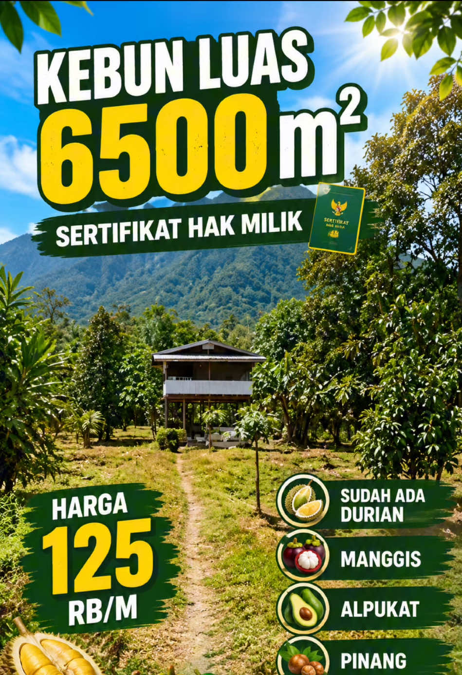 @Sumbar Property