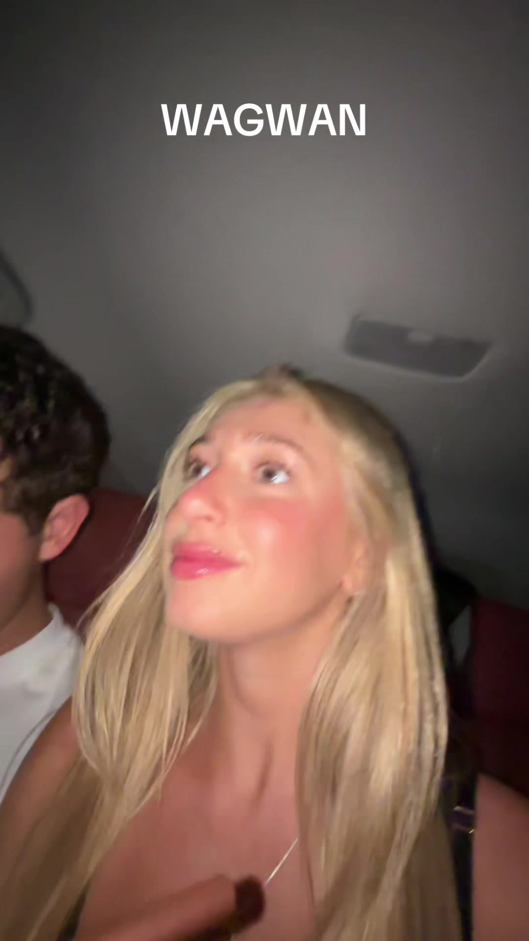 @wtfhallie