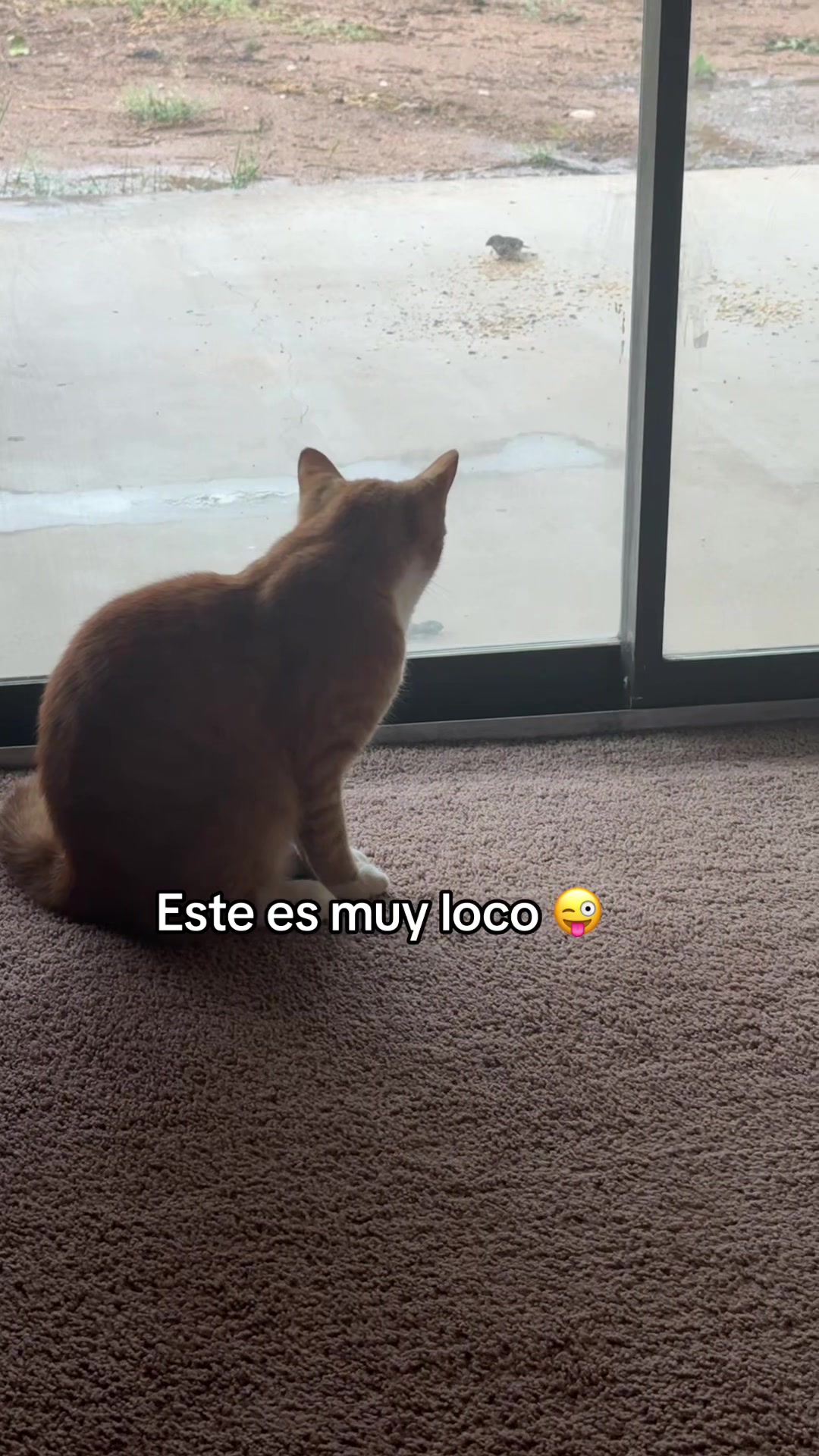 @Isa y Cris