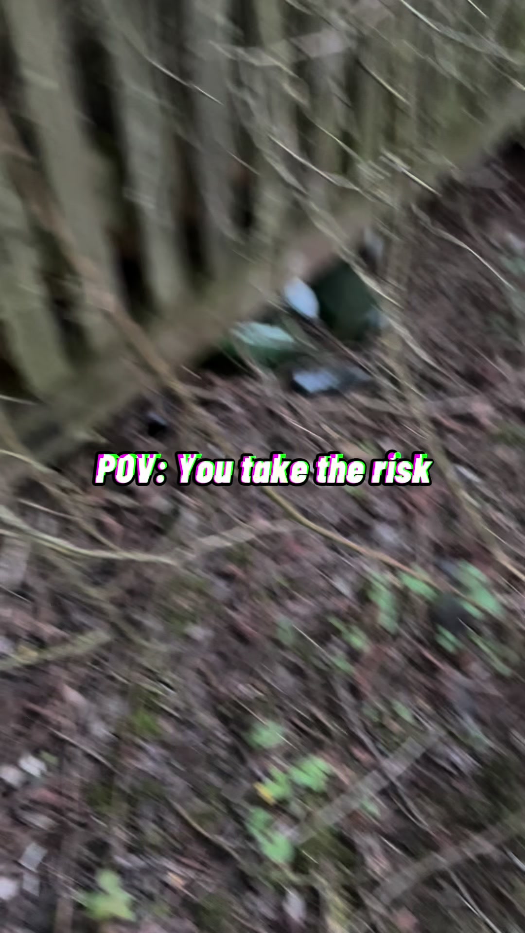 @Lynxer