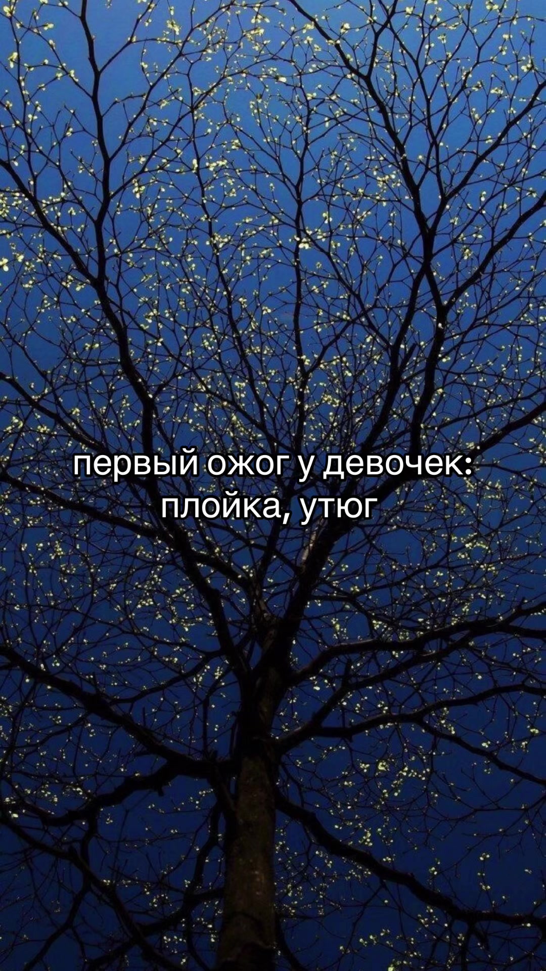 @movreo🧝🏼♀️
