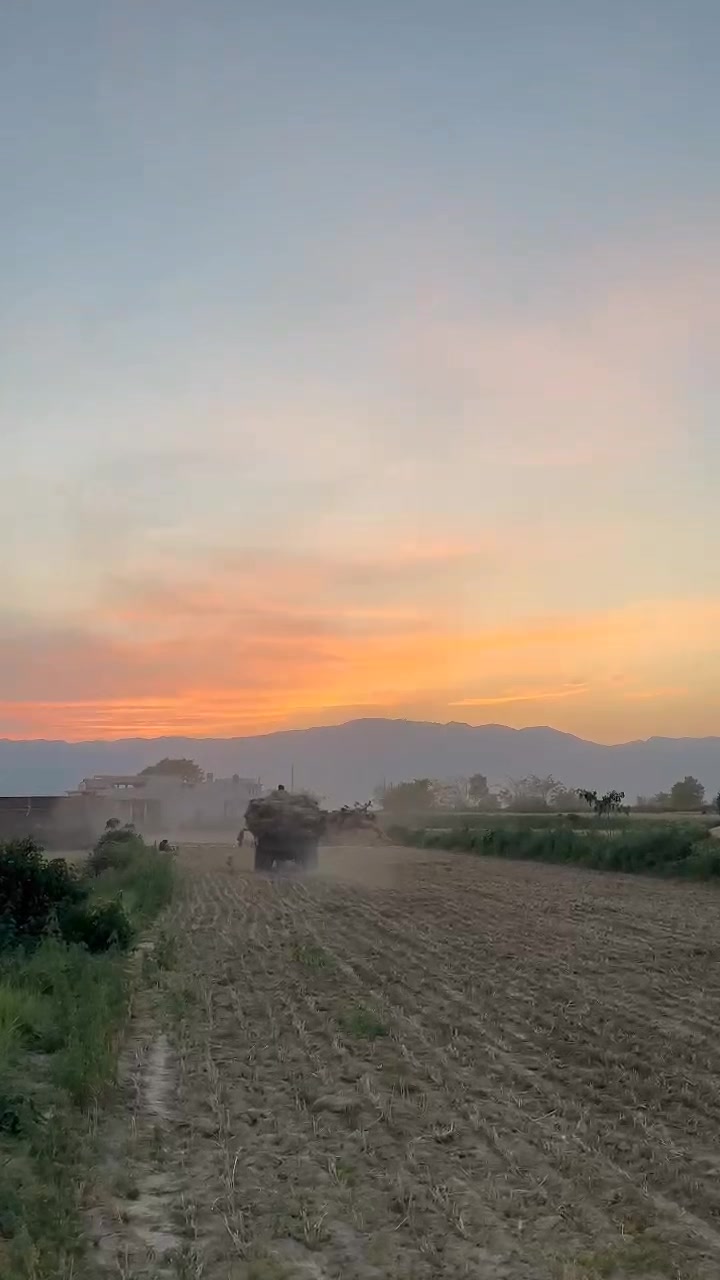 @M. Uzair Tanoli
