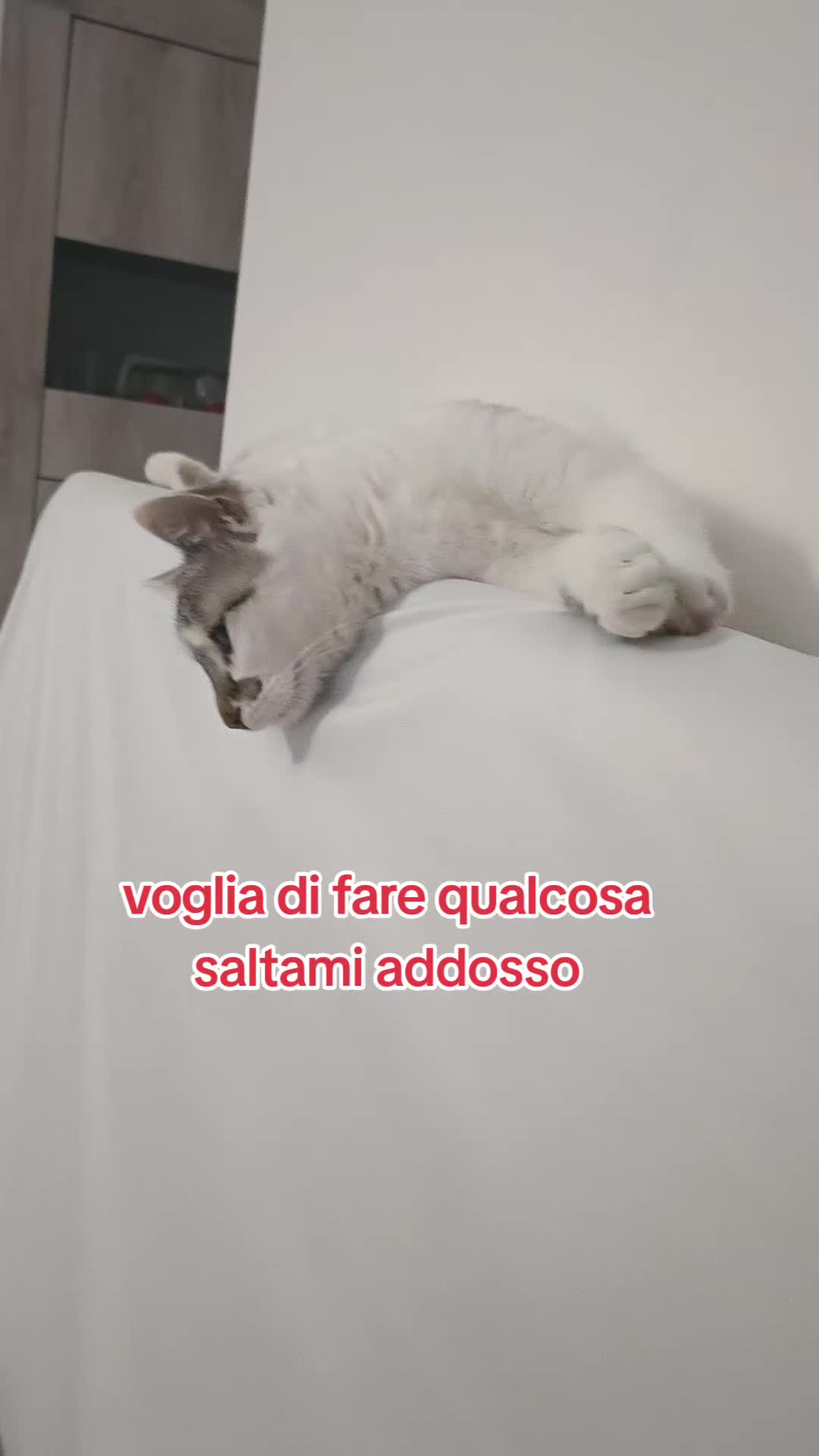 @vincenza