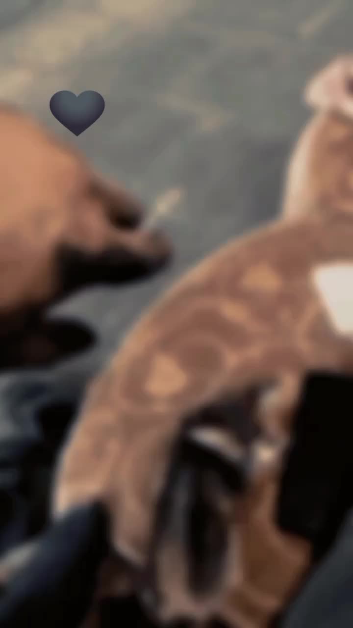 @Emil317