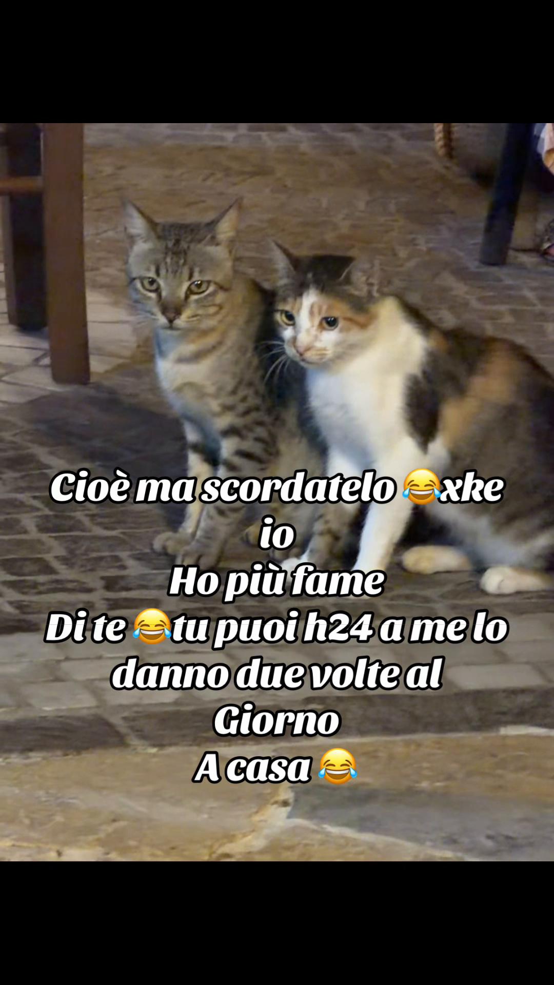 @👑🖤Veronica Very🖤👑