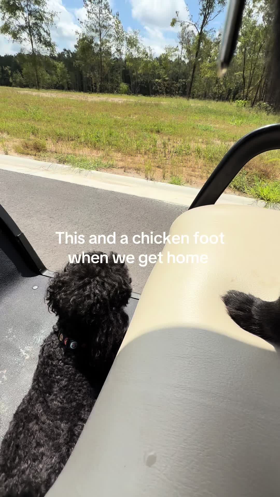 @cashandbentley_