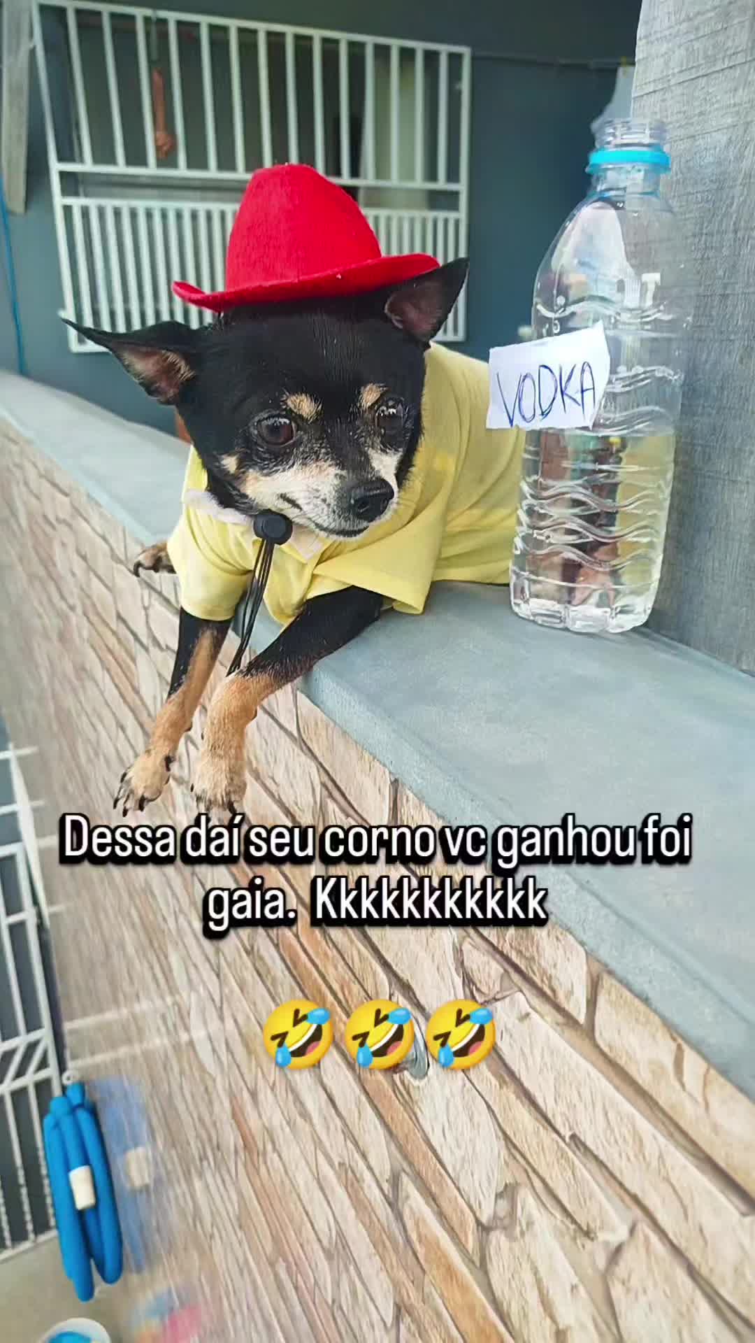 @vanetinhadotiktok