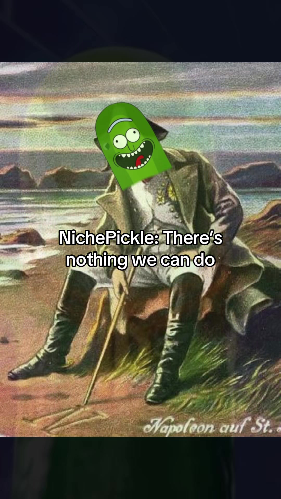 @nichepickle