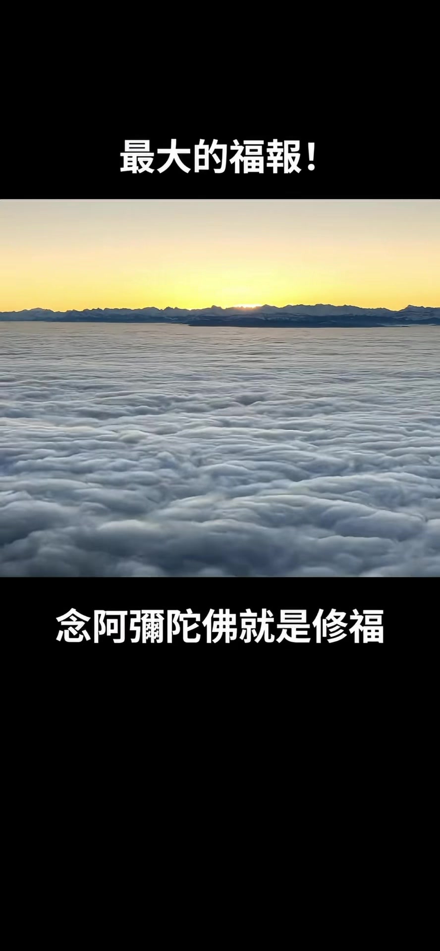 @南無阿彌陀佛🙏🙏🙏
