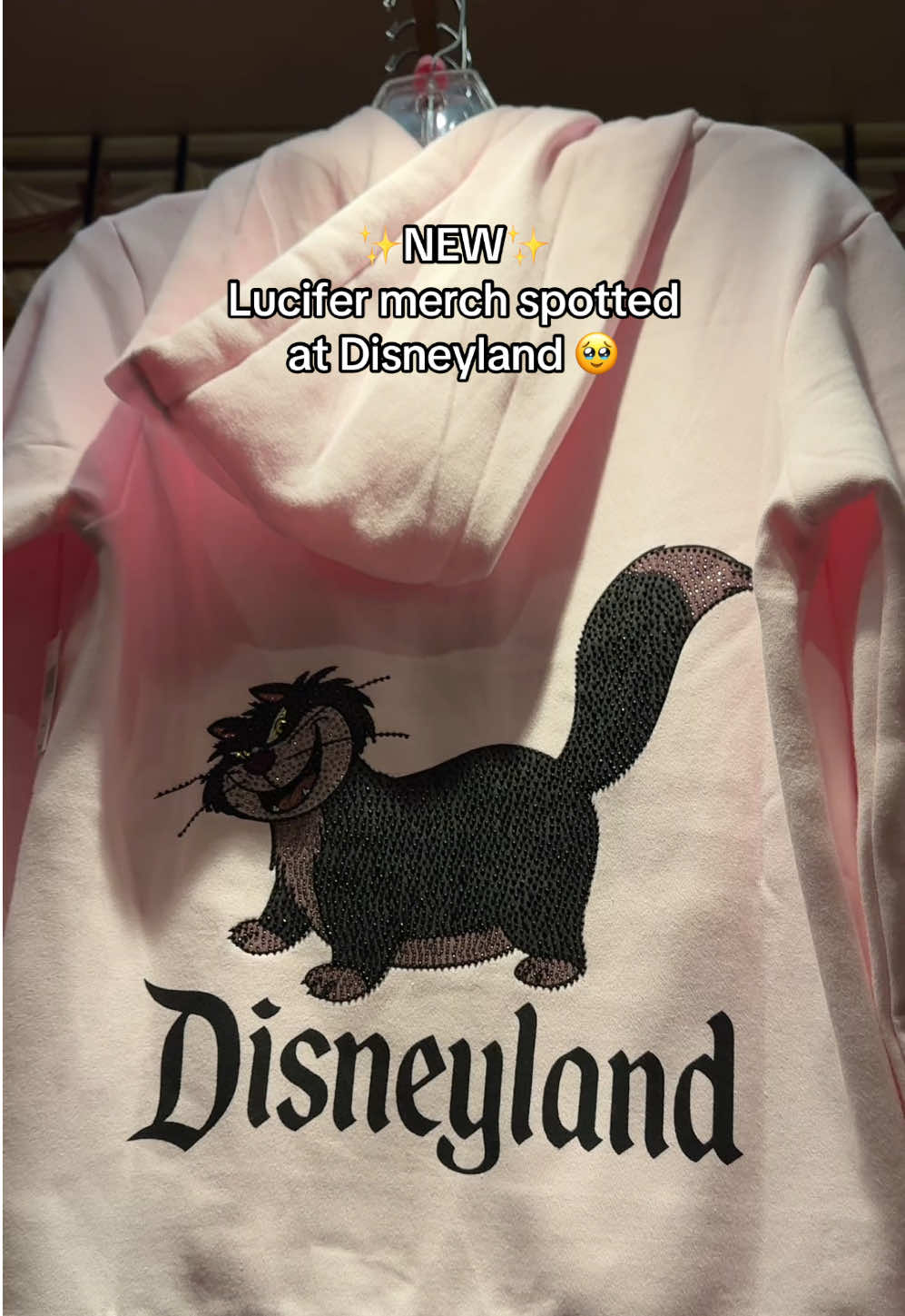@nikki | disney tips & magic ✨