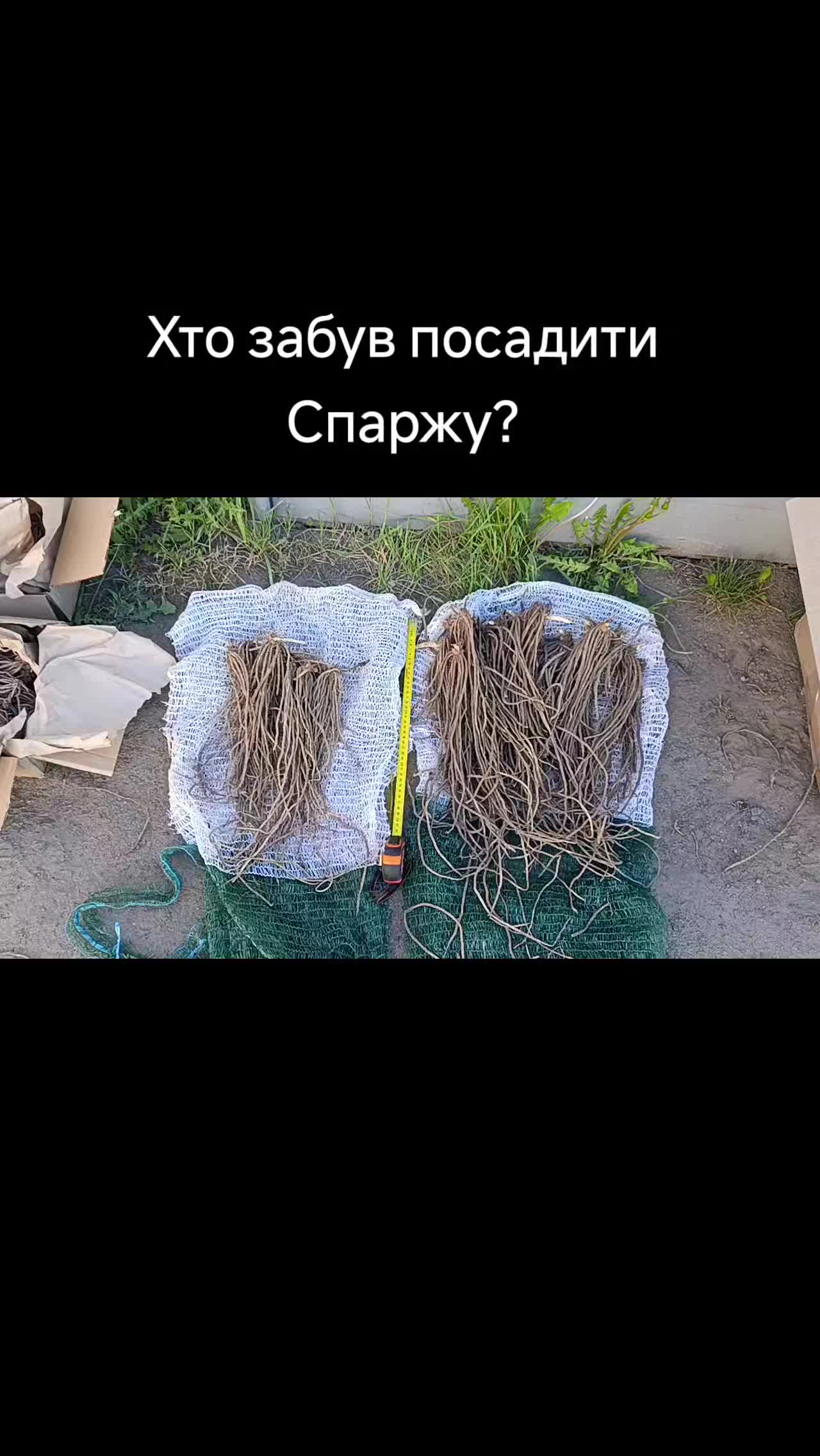 @Олег