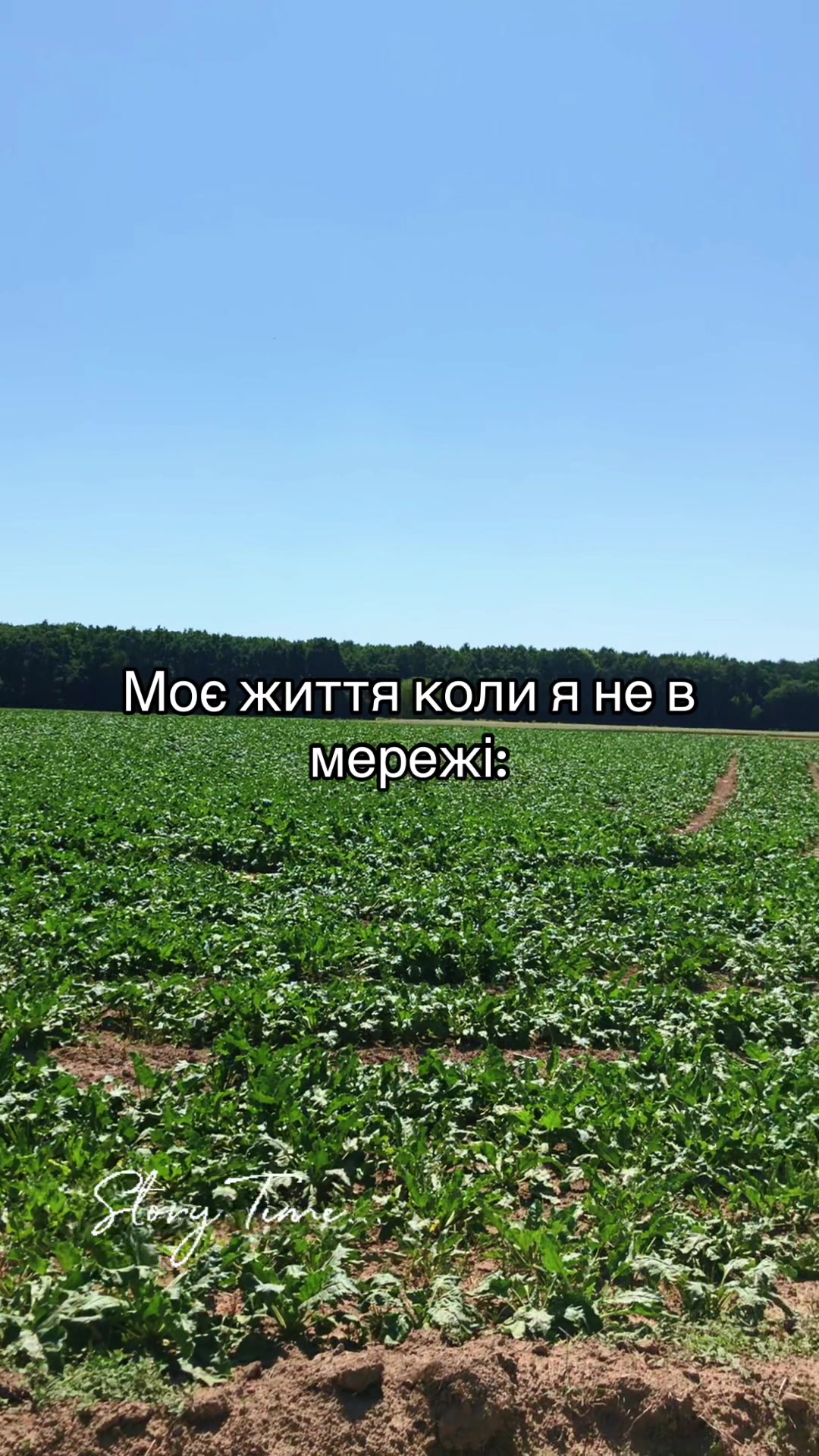 @anton_melnythukc.17