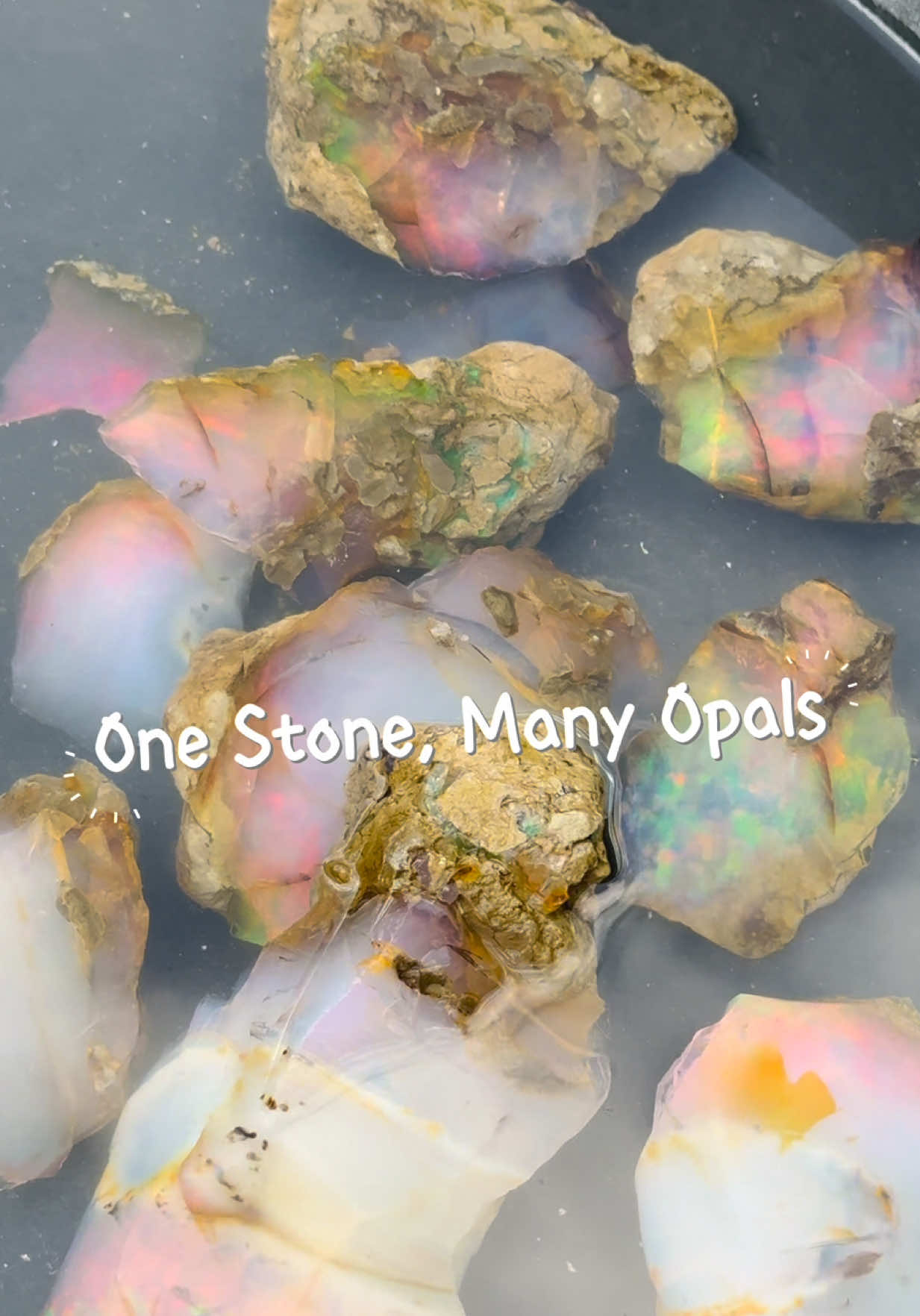 @theopaltrove