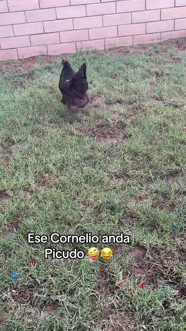 @Mariana alva -Sahm