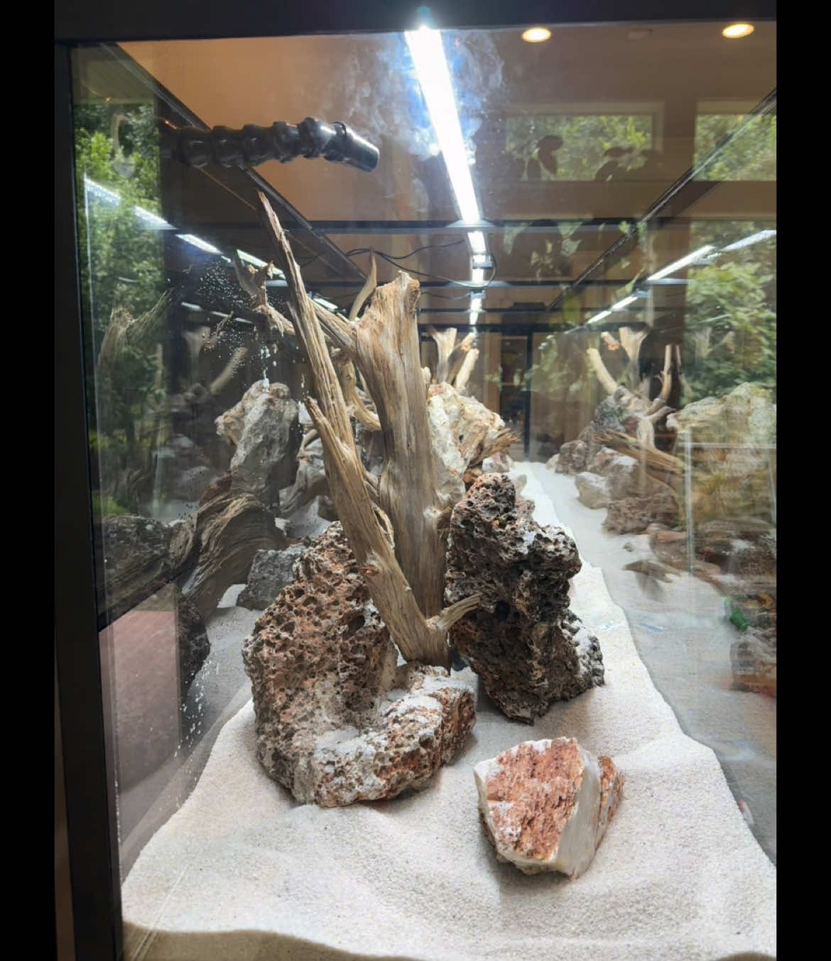 @aquarium_maintenance
