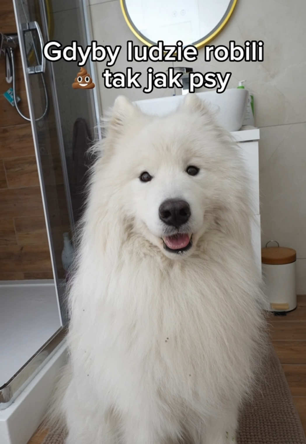 @borysekjkg