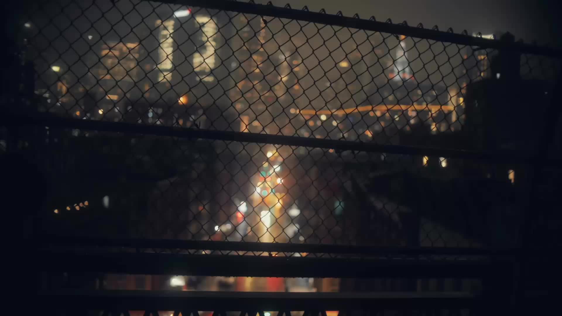 @musicvisionplayback