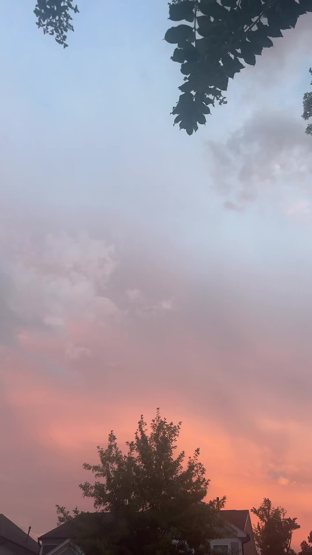 @Aartee2🦋