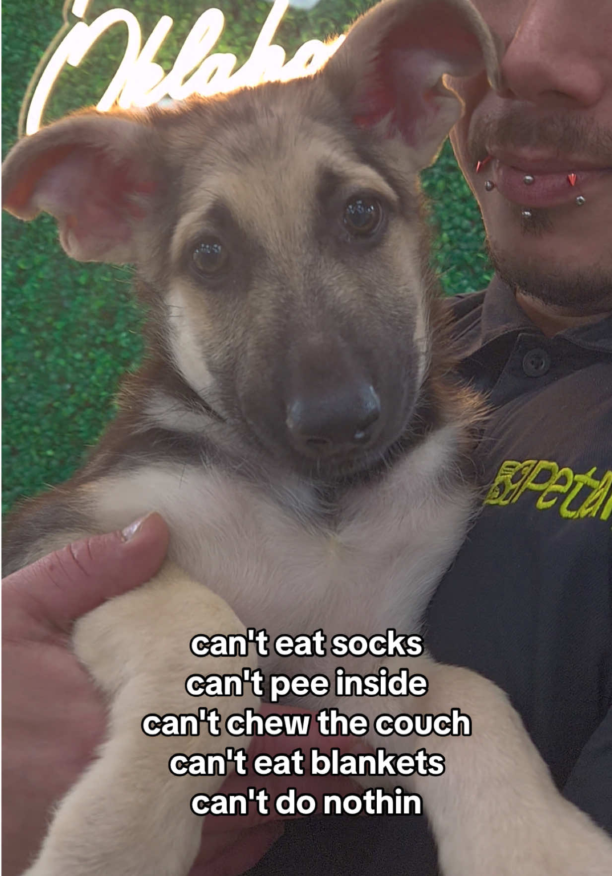 @Petland Oklahoma City