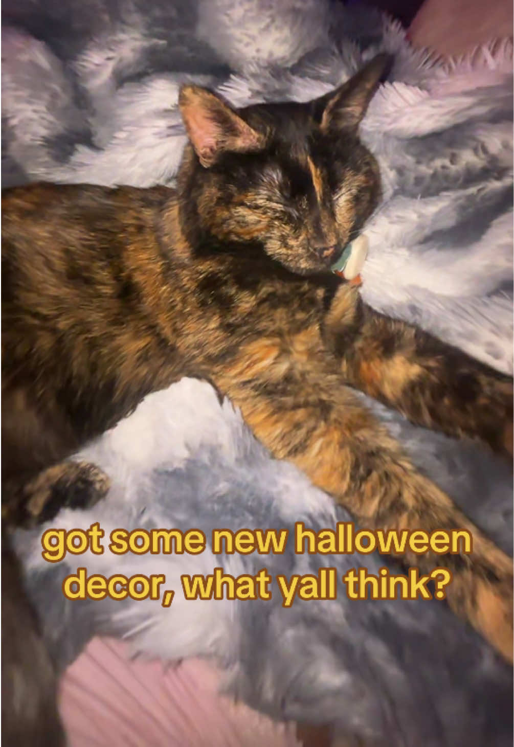@Fall (lol)