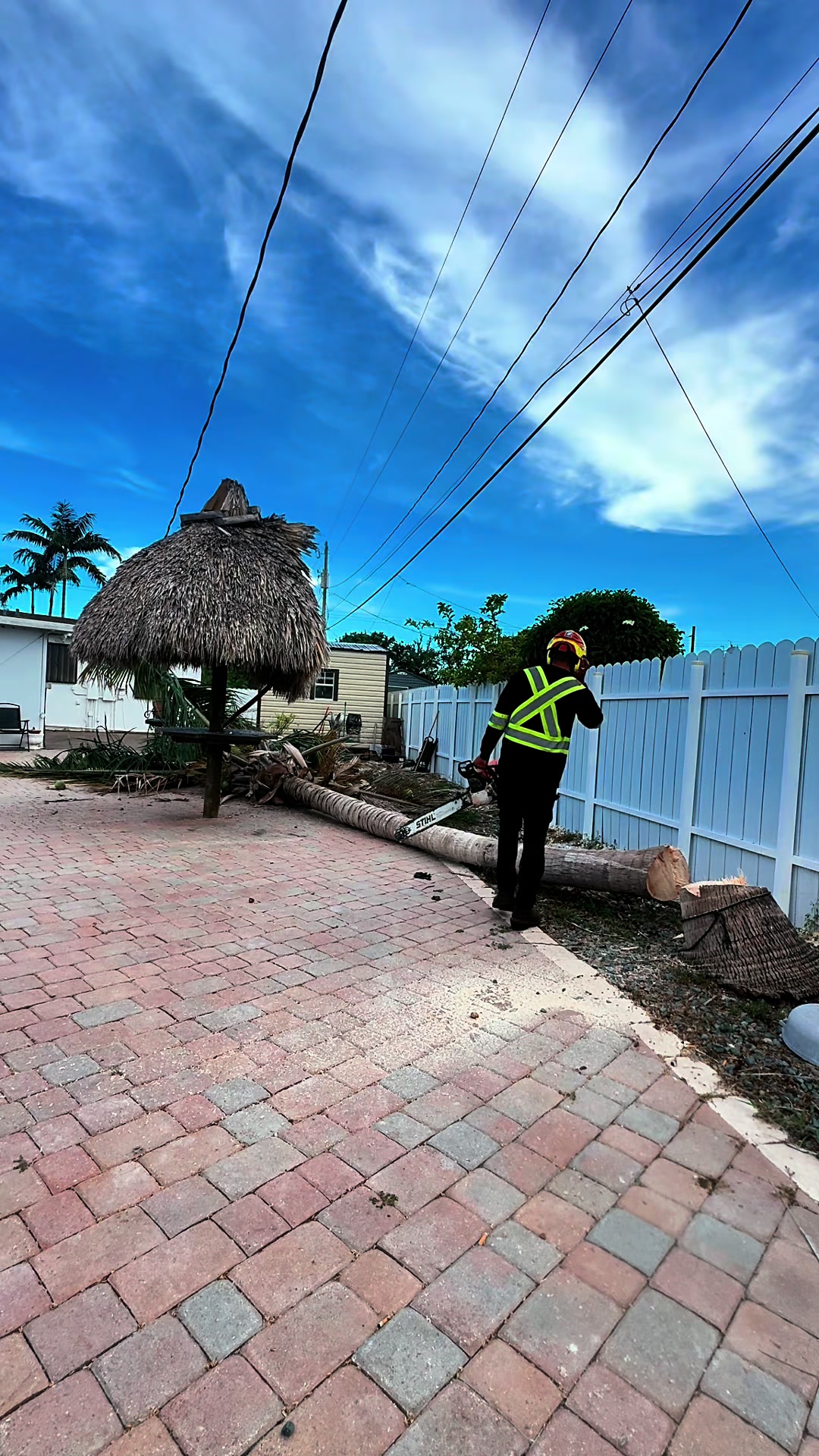 @Franco Tree Service Pro
