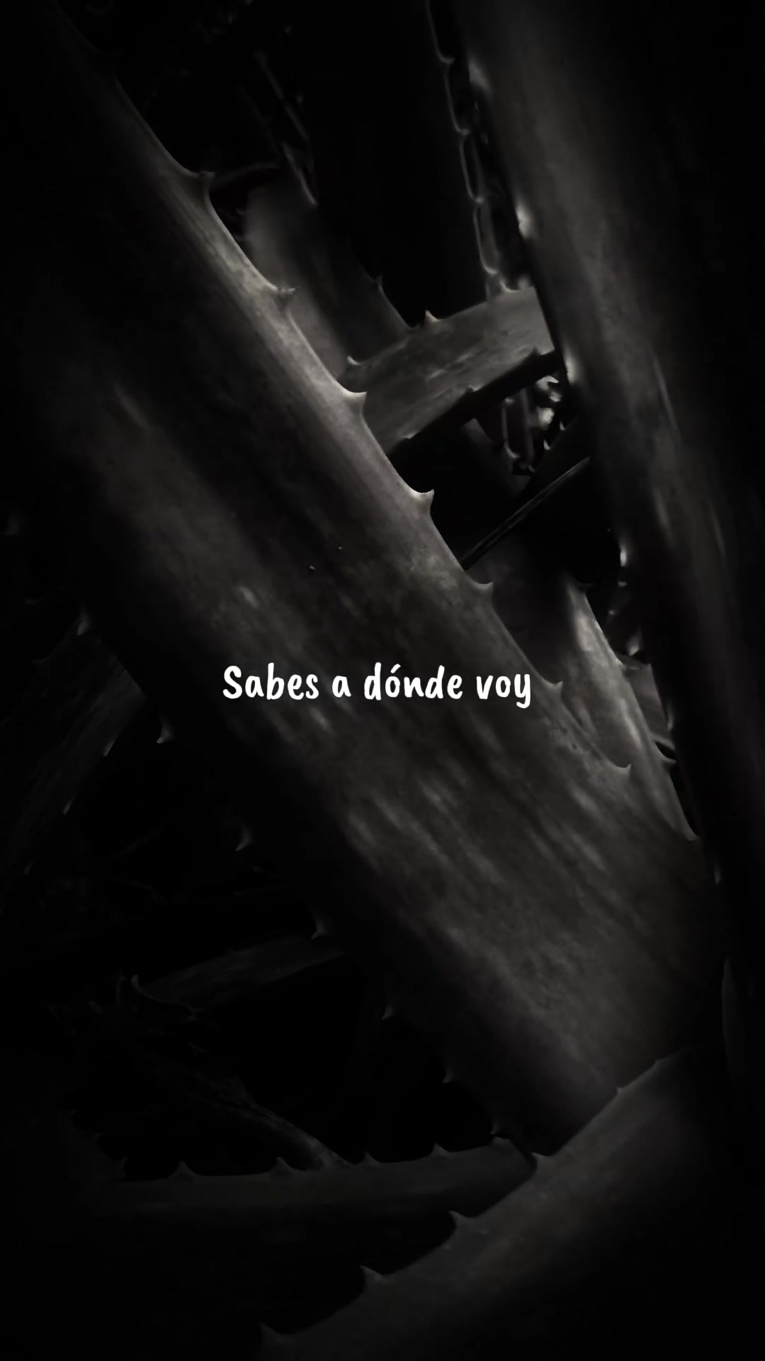 @Rolitas_pa'la banda