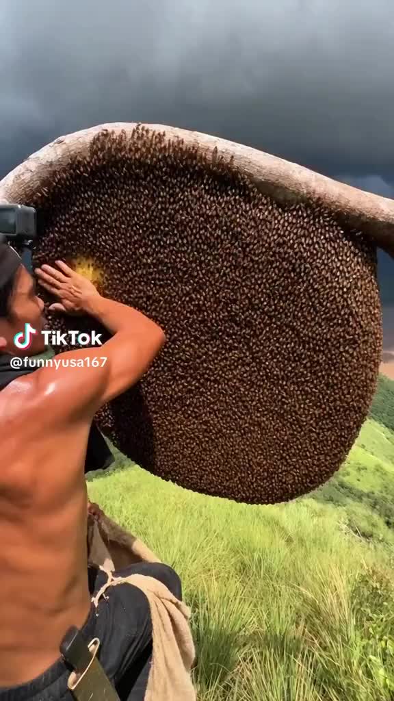 @guy rejinald