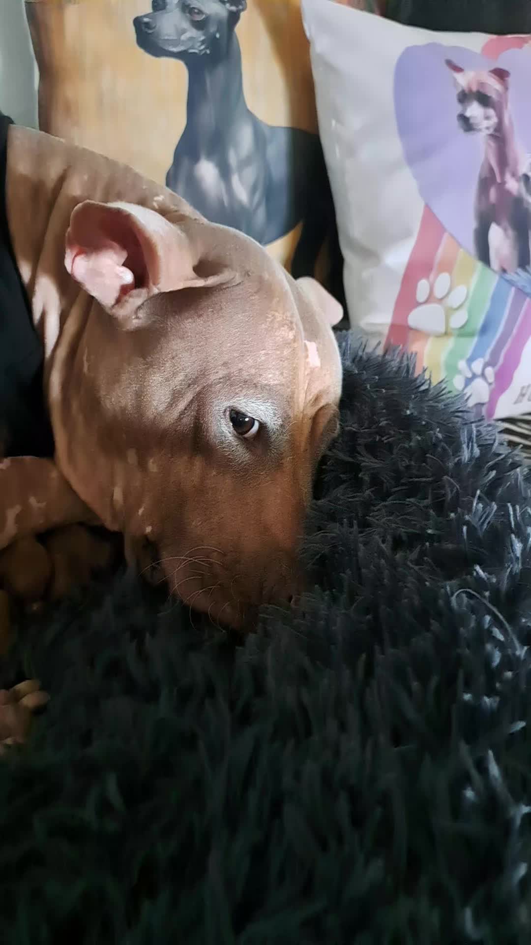 @🌈&Ouml;tte 🌈💛E-TEAM💛