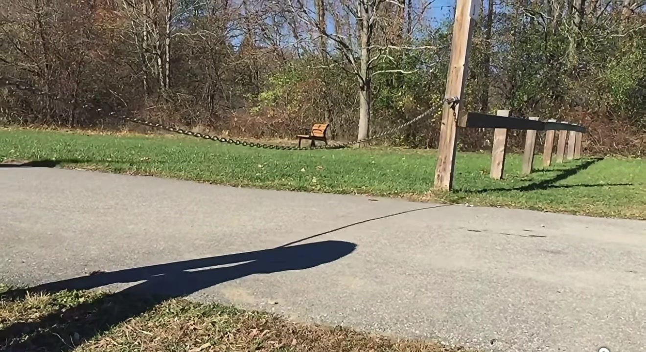 @ADawg2.0