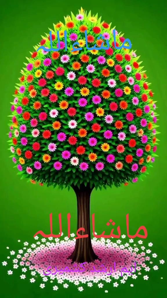 @M,Arshad kashmiri