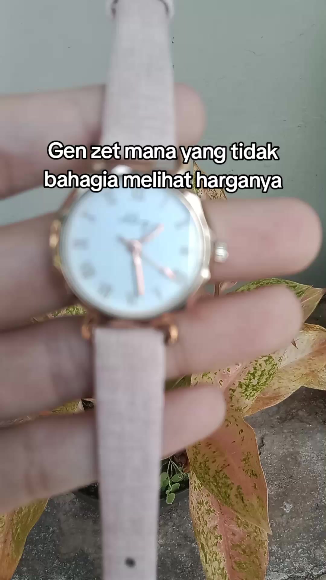 @S-tetik 🛒