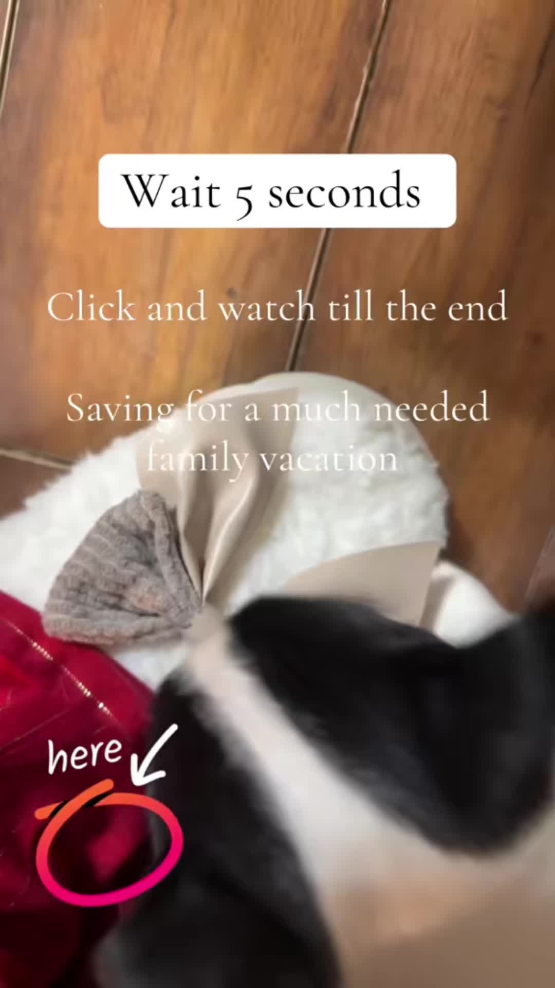 @lacey.forever2