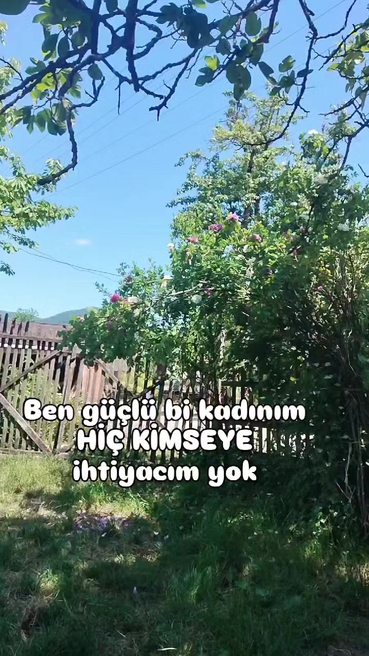 @elifgungor. bb