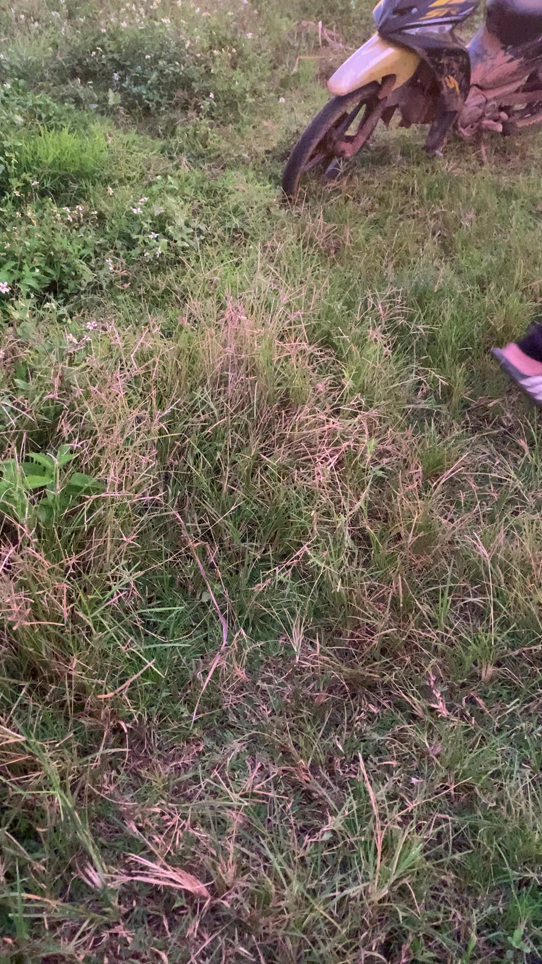 @L .