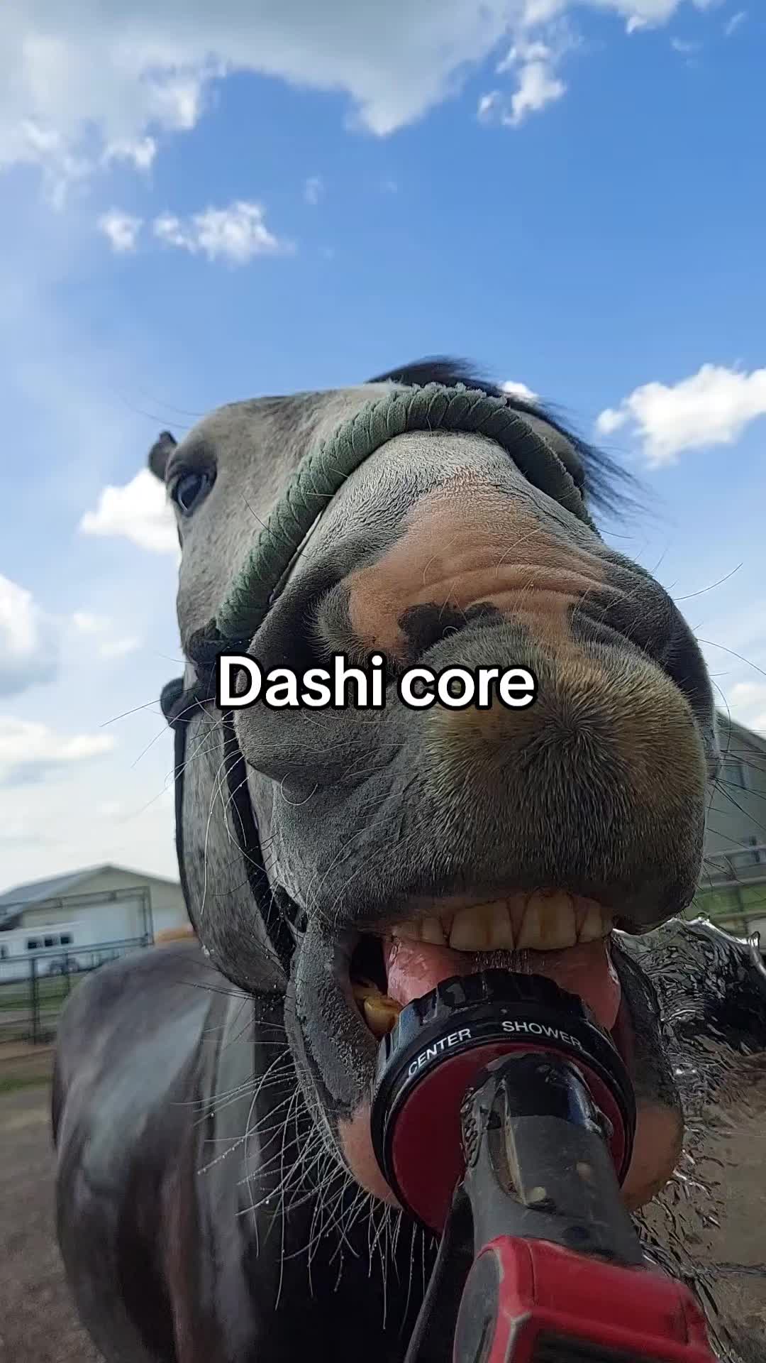 @Katie