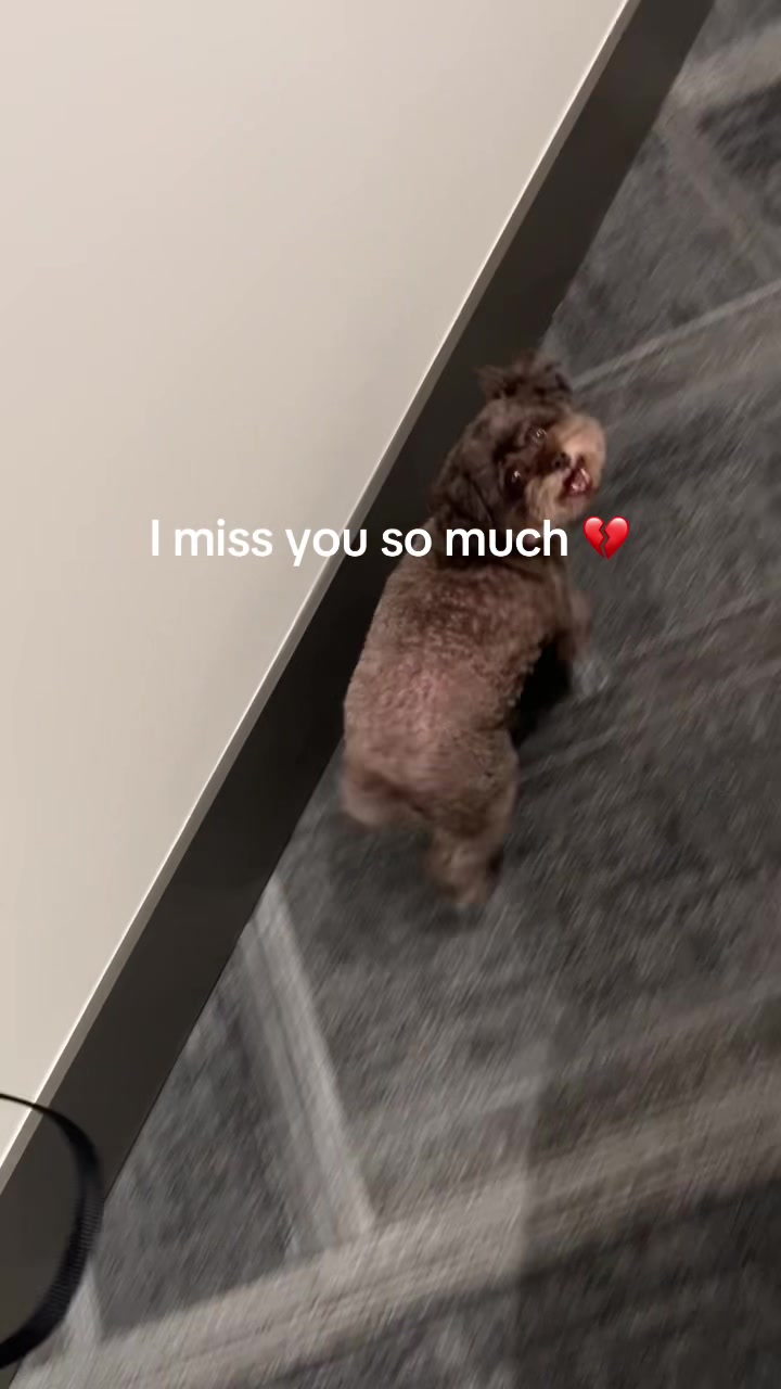 @teetee🦄