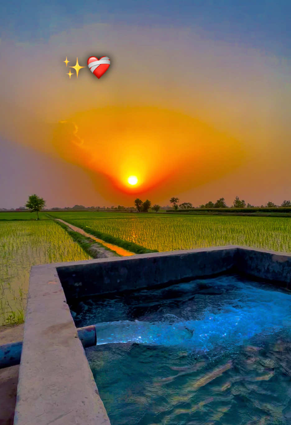 @🌱اویس میئو😎