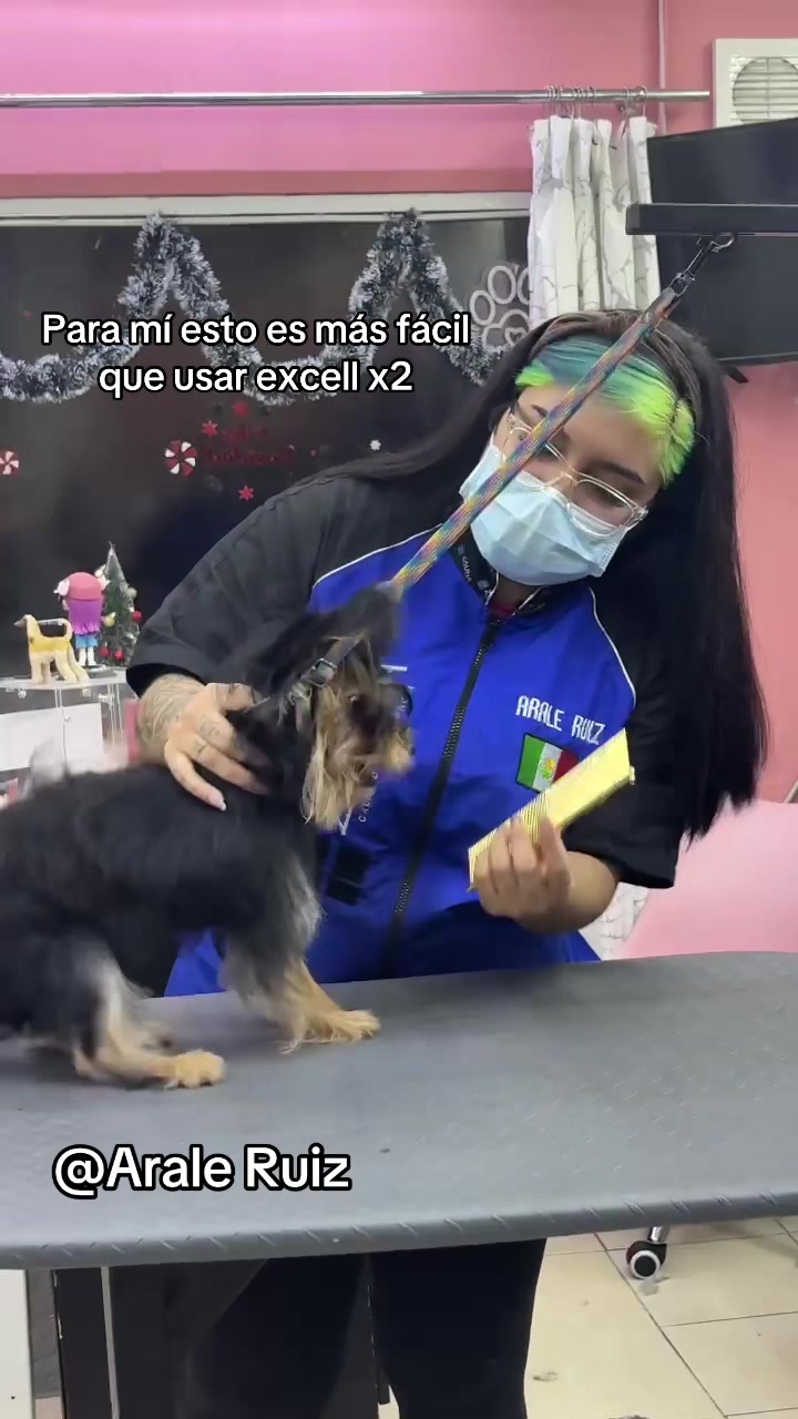 @Arale Ruiz