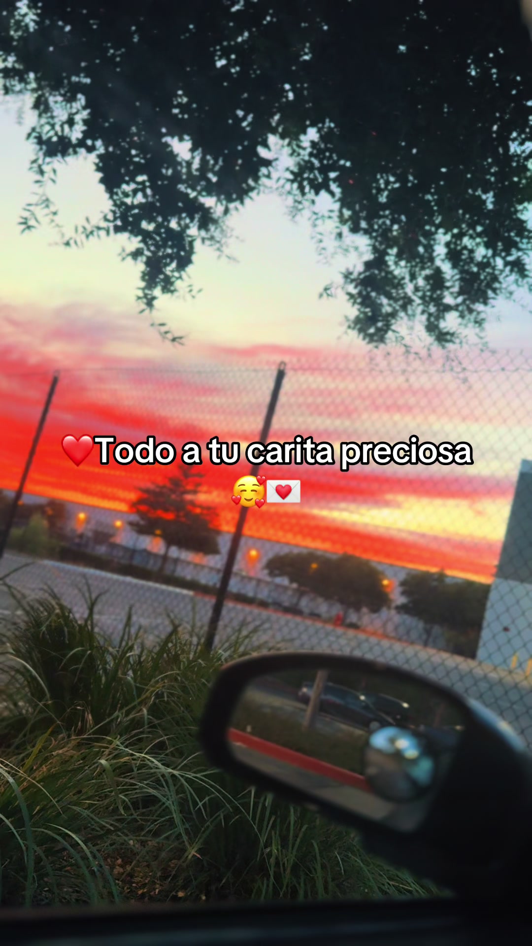 @FeliFeli