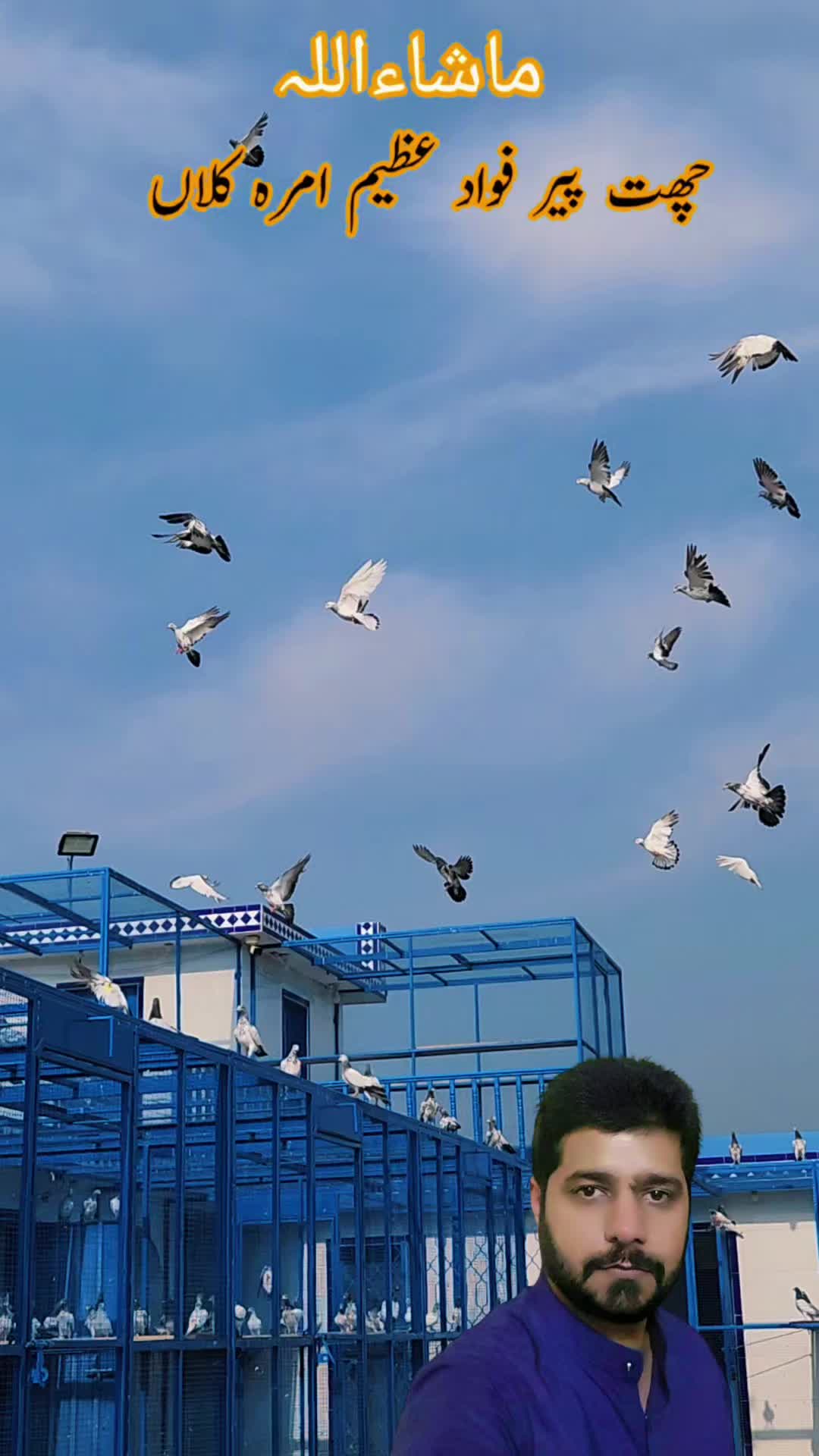 @amrakalan5