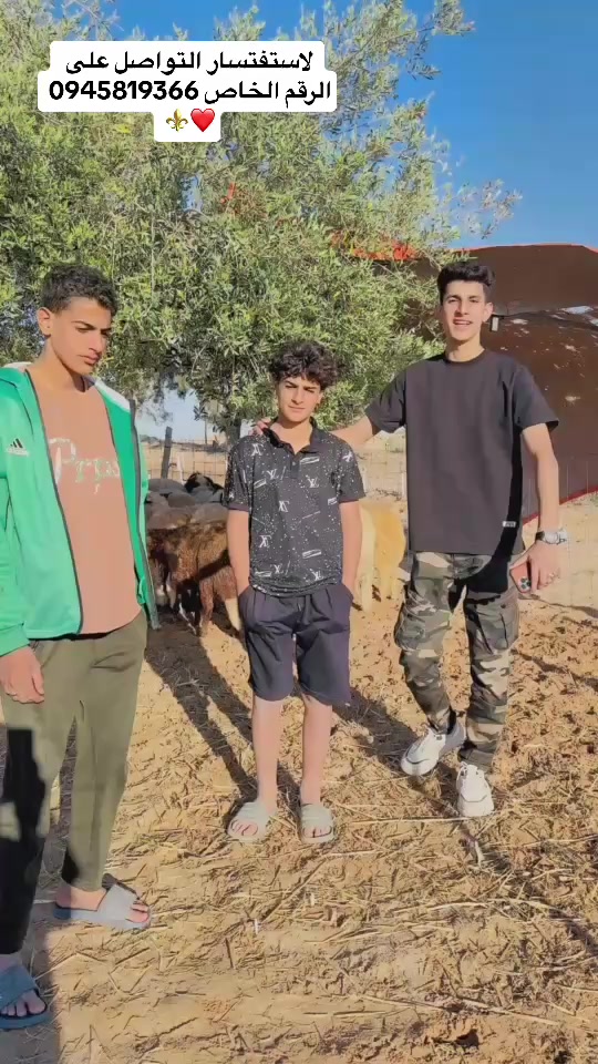 @الشاعر وسام ساسي ❤️