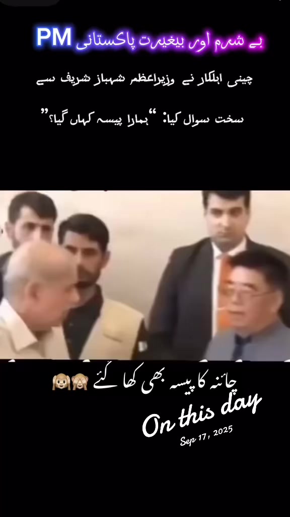 @Shazia Bukhari