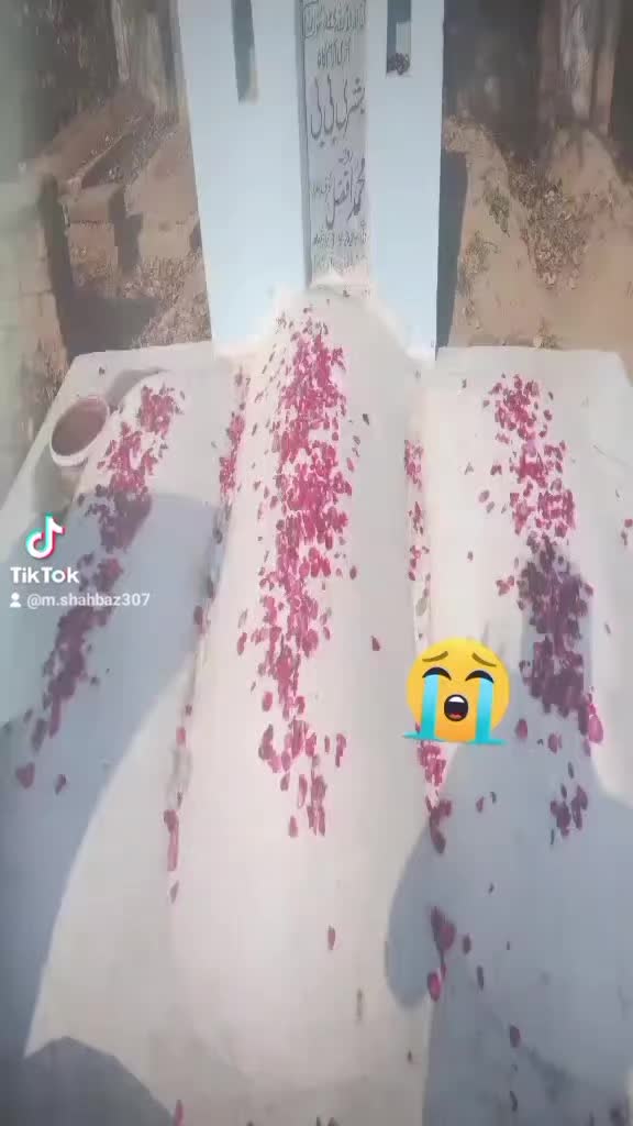 @shahbaz