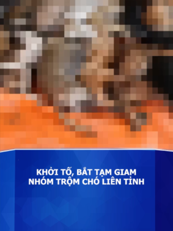 @Báo Tuổi Trẻ