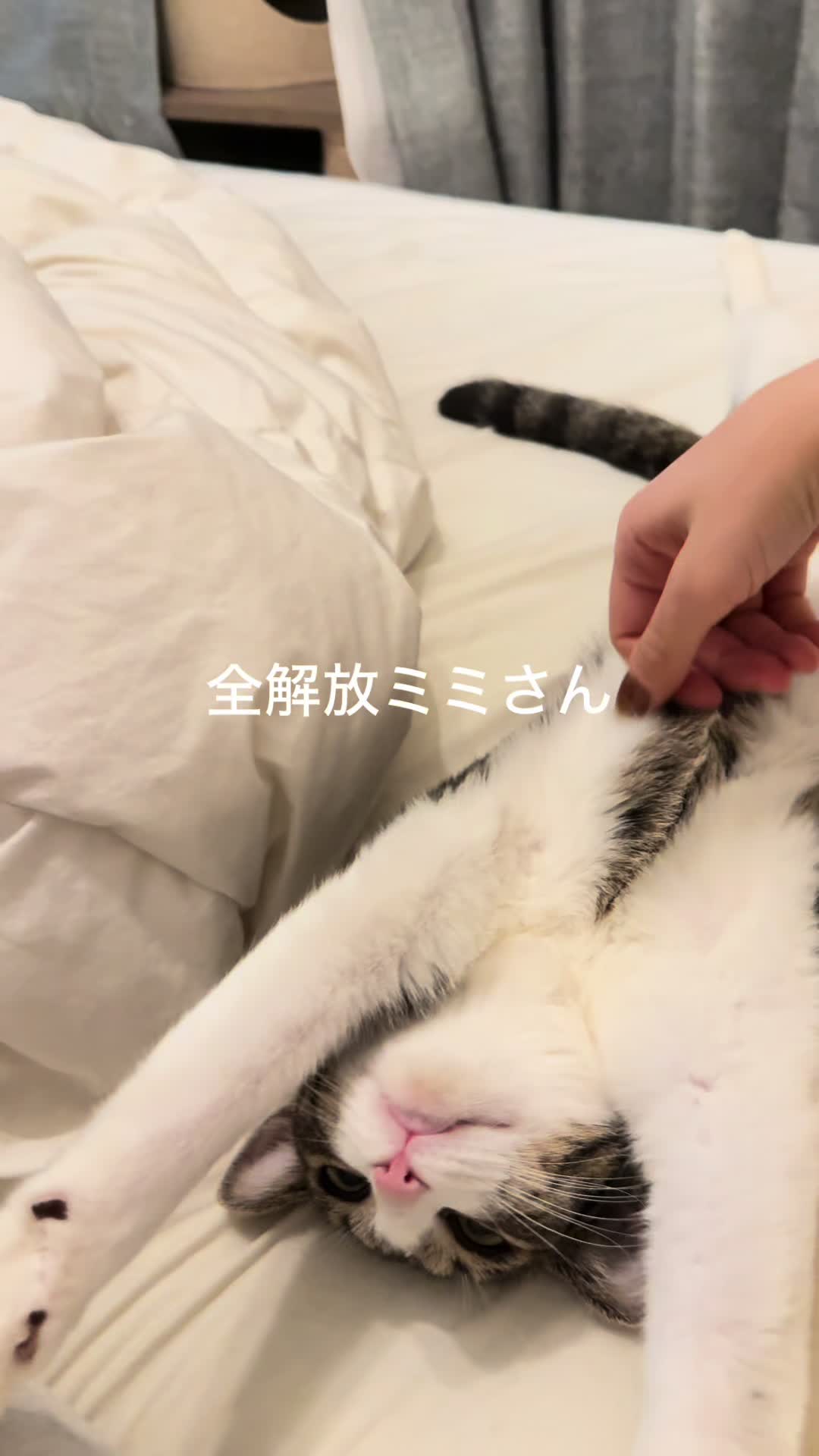 @MimitheNapcat