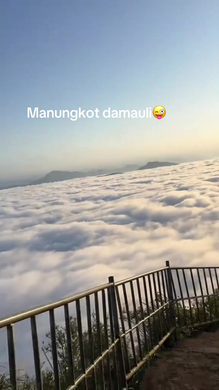 @🌎🌎🐦⬛🌎🌎
