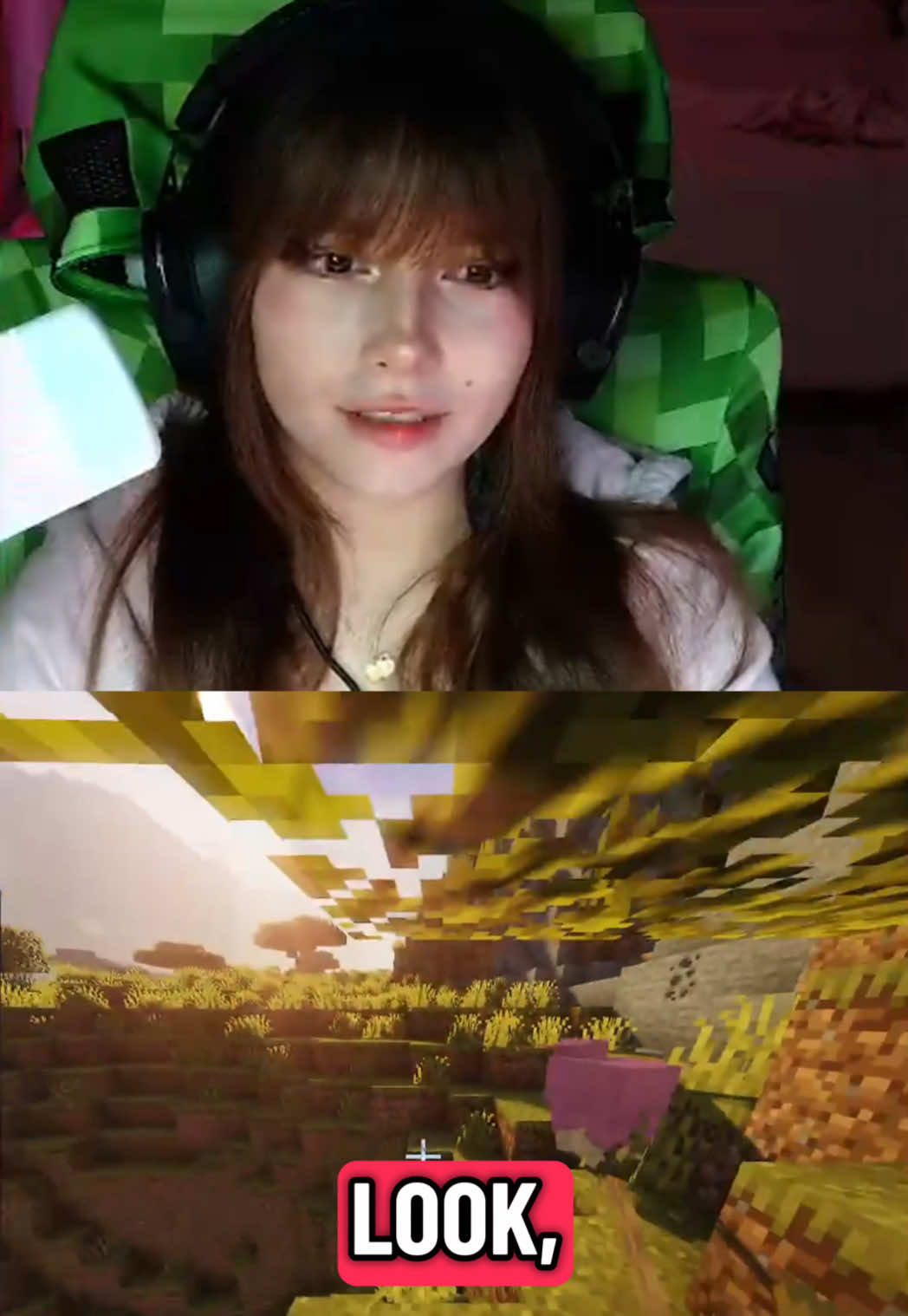 @eviemeowie clips